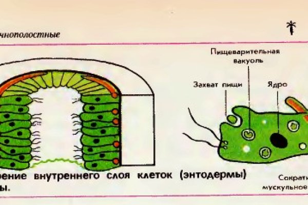 Кракен это сайт