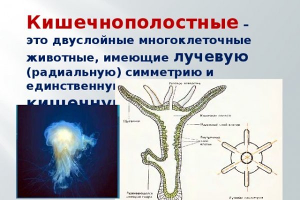 Маркетплейс кракен купить