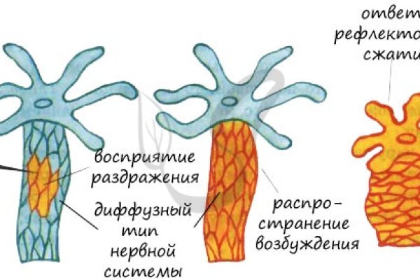 Кракен площадка даркнет